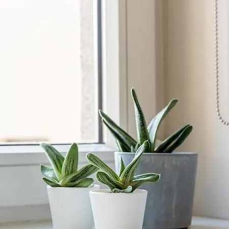 Apartment Cozy & Stylish - Great For Short Trips