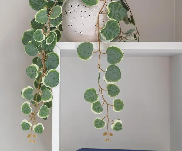 Dzīvoklis Cozy & Stylish - Great For Short Trips *