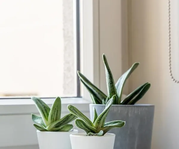 Dzīvoklis Cozy & Stylish - Great For Short Trips