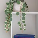 Apartamento Cozy & Stylish - Great For Short Trips *