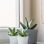 Apartamento Cozy & Stylish - Great For Short Trips